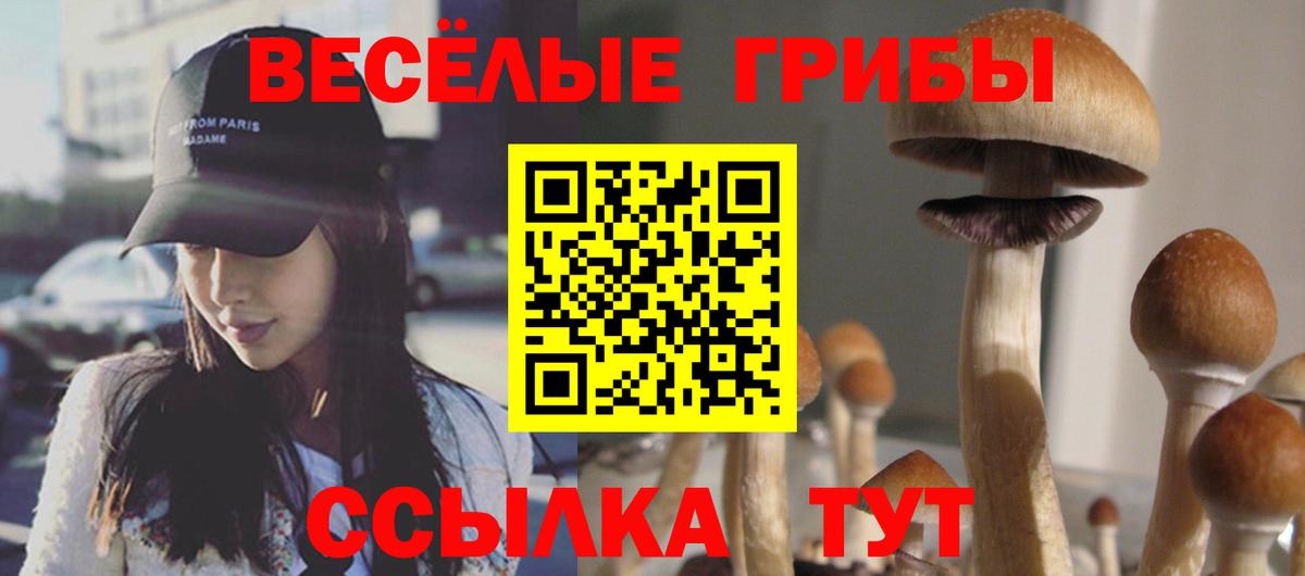 продажа наркотиков  Галлюциногенные грибы Magic Shrooms  Вход с VPN  Канск 